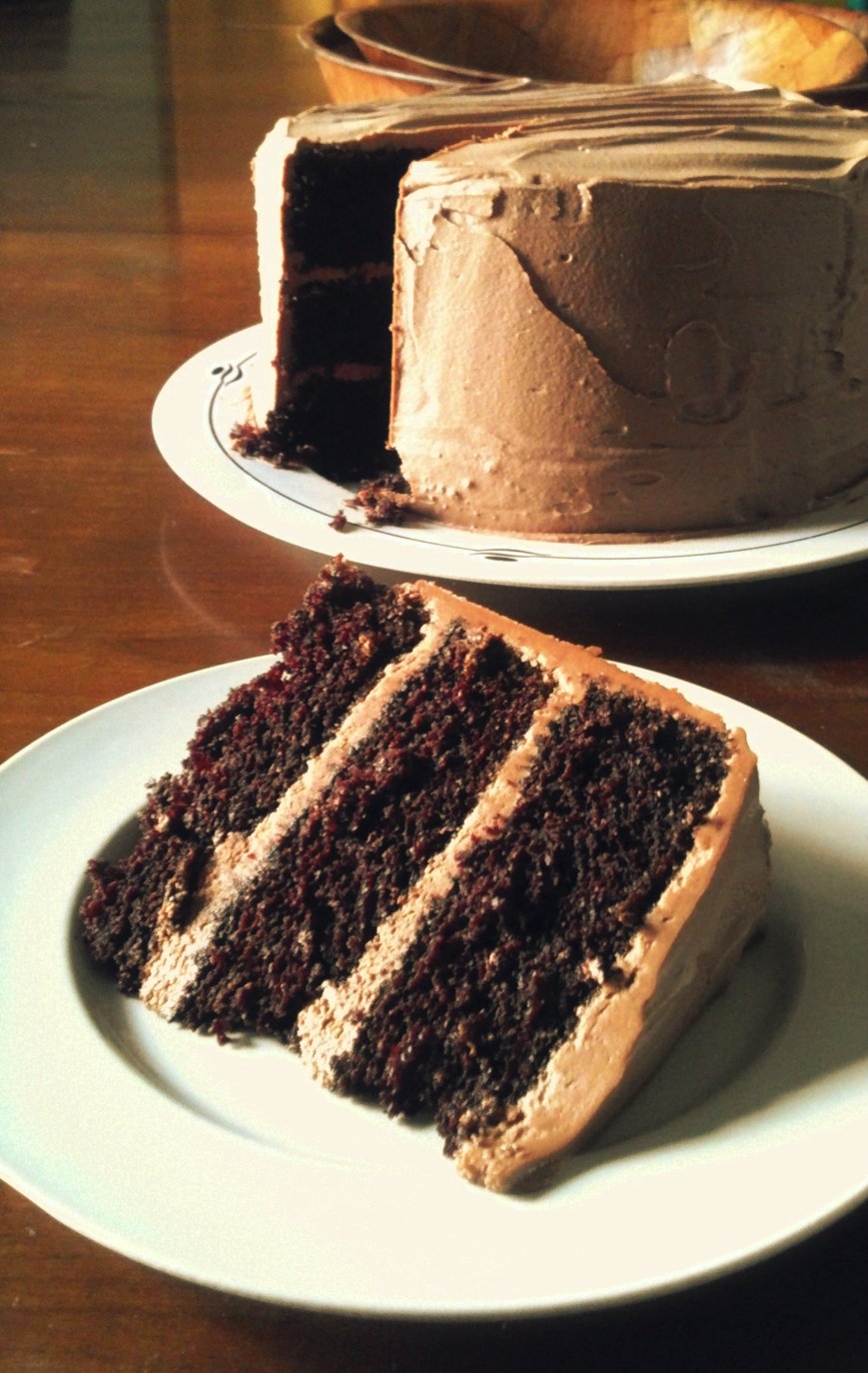 Amazing Chocolate Cake 3